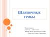 Шляпочные грибы