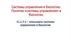 Системы управления в биологии. Понятие «системы управления» в биологии