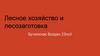 Лесное хозяйство и лесозаготовка