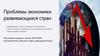 Проблемы экономики развивающихся стран