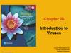 Introduction to Viruses. Chapter 26