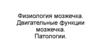 Физиология мозжечка. Двигательные функции мозжечка. Патологии