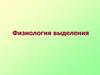 Физиология выделения. Лекция 10