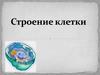 Строение клетки