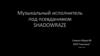 Музыкальный исполнитель под псевдонимом Shadowraze