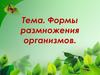 Формы размножения организмов