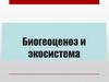 Биогеоценоз и экосистема