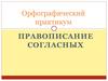 Правописание согласных. Орфографический практикум