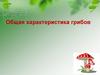 Общая характеристика грибов
