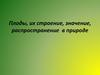 Плоды, их строение, значение, распространение в природе
