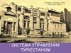 Система управления Туркестаном