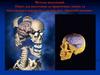 Методи візуалізації. Пакет для підготовки до практичних занять та підсумкового контролю з дисципліни «Анатомії людини»