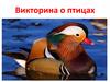 Викторина о птицах