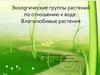 Экологические группы растений по отношению к воде. Влаголюбивые растения