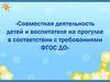 Совместная деятельность детей и воспитателя на прогулке в соответствии с ФГОС ДО