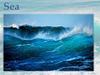 Sea