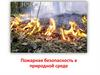 Пожарная безопасность в природной среде. Лесные пожары