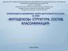 Фитоценозы: структура, состав, классификация