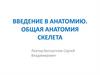 Введение в анатомию. Общая анатомия скелета