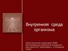 Внутренняя среда организма