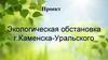 Экологическая обстановка г. Каменска-Уральского