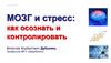 Мозг и стресс: как осознать и контролировать