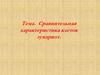 Сравнительная характеристика клеток эукариот