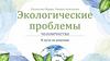 Основные глобальные экологические проблемы