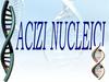 Acizii Nucleici sunt compuși macromoleculari