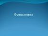 Фотосинтез. Процесс фотосинтеза