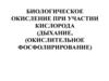 Биологическое окисление при участии кислорода (дыхание, окислительное фосфолирирование)