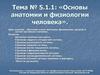 Основы анатомии и физиологии человека