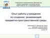 Опыт работы учреждения по созданию развивающей предметно-пространственной среды