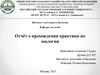 Отчёт о прохождении практики по зоологии
