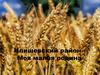 Илишевский район. Моя малая родина