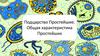 Подцарство Простейшие. Общая характеристика Простейших  (7 класс)