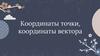 Координаты точки и вектора