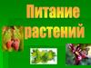 Питание растений