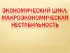 Экономический цикл. Макроэкономическая нестабильность