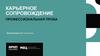 Карьерное сопровождение. Профессиональная проба. Веб-технологии