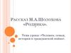Рассказ М.А. Шолохова «Родинка»