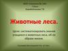 Животные леса