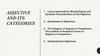 Adjective and its categories