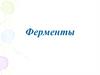 Ферменты. Строение ферментов