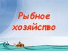 Рыбное хозяйство
