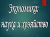 Экономика: наука и хозяйство