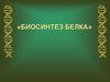 Биосинтез белка