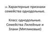 Характерные признаки семейства однодольные