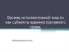 Органы исполнительной власти как субъекты административного права
