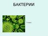 Бактерии. 5 класс